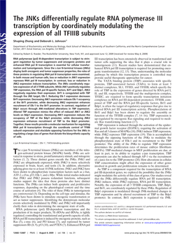 The Jnks Differentially Regulate RNA Polymerase III Transcription by Coordinately Modulating the Expression of All TFIIIB Subunits