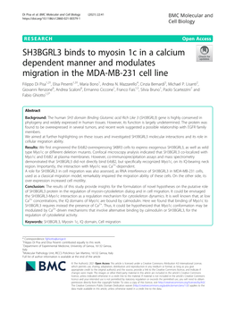 SH3BGRL3 Binds to Myosin 1C in A
