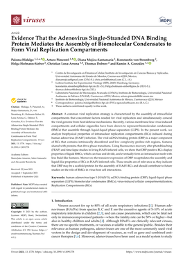 Evidence That the Adenovirus Single-Stranded DNA Binding Protein Mediates the Assembly of Biomolecular Condensates to Form Viral Replication Compartments