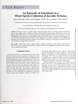 An Epizootic of Amoebiasis in a Mixed Species Collection of Juvenile Tortoises Simon Hollamby1, Bvsc, David Murphy2, DVM, Chris A