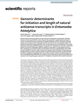 Genomic Determinants for Initiation and Length of Natural Antisense Transcripts in Entamoeba Histolytica