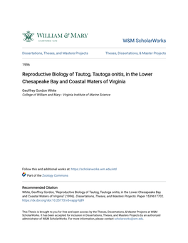 Reproductive Biology of Tautog, Tautoga Onitis, in the Lower Chesapeake Bay and Coastal Waters of Virginia