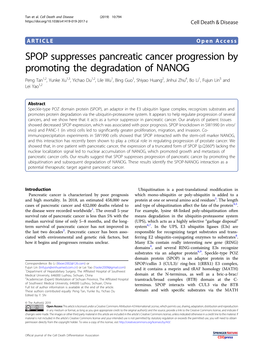 SPOP Suppresses Pancreatic Cancer Progression by Promoting The
