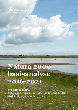 Natura 2000 Basisanalyse 2016-2021 Sydfynske Øhav
