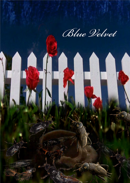 Blue Velvet Blue Velvet Eine Sound- Und Musikanalyse