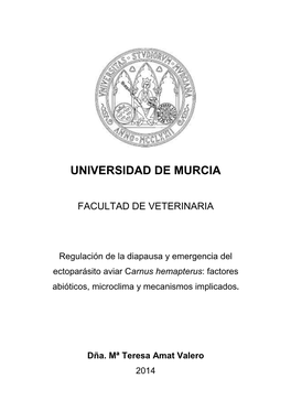 Universidad De Murcia