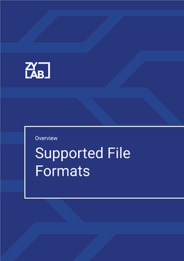 Supported File Formats Zylab Supported File Formats