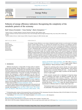 Fallacies of Energy Efficiency Indicators