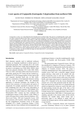 A New Species of Crepipatella (Gastropoda: Calyptraeidae) from Northern Chile