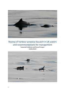 Review of Harbour Porpoise Bycatch in UK Waters and Recommendations for Management Susannah Calderan and Russell Leaper 10/01/2019