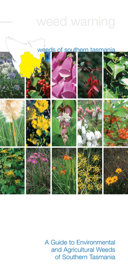 Weeds of Southern Tasmania