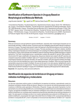 Identification of Earthworm Species in Uruguay Based on Morphological