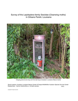 Survey of the Lepidoptera Family Sesiidae (Clearwing Moths) in Orleans Parish, Louisiana