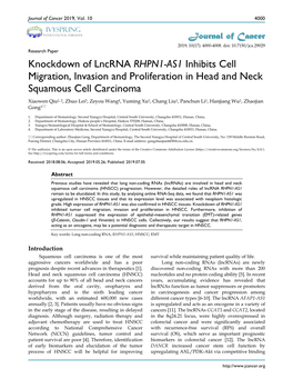 Knockdown of Lncrna RHPN1-AS1 Inhibits Cell Migration, Invasion And