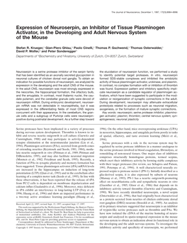 Expression of Neuroserpin, an Inhibitor of Tissue Plasminogen Activator, in the Developing and Adult Nervous System of the Mouse