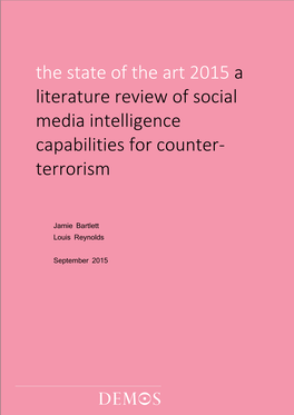 Literature Review of Social Media Intelligence Capabilities for Counter- Terrorism