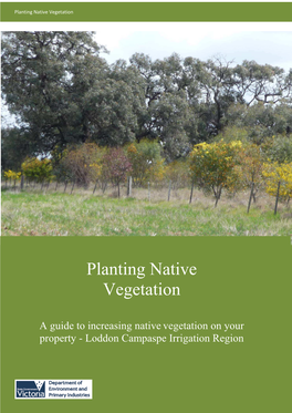 Planting Native Vegetation