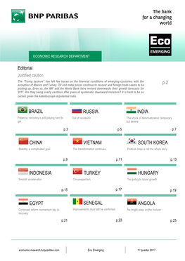 Editorial P.2 BRAZIL RUSSIA INDIA CHINA VIETNAM SOUTH KOREA INDONESIA TURKEY HUNGARY EGYPT SENEGAL ANGOLA