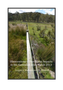 Observations of Pest Horse Impacts in the Australian Alps, March 2013