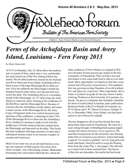 Ferns of the Atchafalaya Basin and Avery Island, Louisiana - Fern Foray 2013 by Mary Stensvold