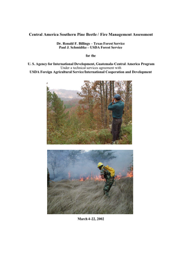 Central America Southern Pine Beetle / Fire Management Assessment