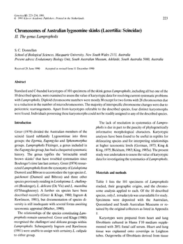 Chromosomes of Australian Lygosomine Skinks (Lacertilia: Scincidae) II