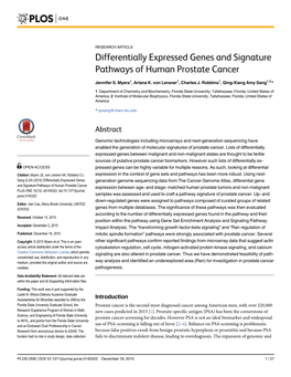 Differentially Expressed Genes and Signature Pathways of Human Prostate Cancer