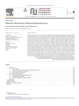 Molecular Mechanisms of Bacterial Bioluminescence