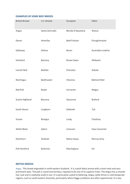 EXAMPLES of SOME BEEF BREEDS British Breeds U.S