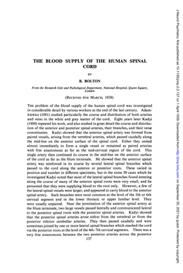 The Blood Supply of the Human Spinal Cord