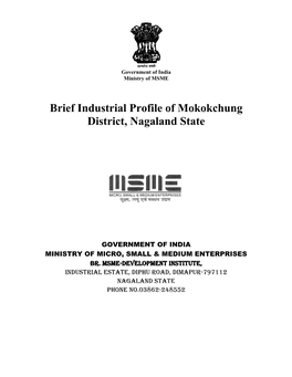 Brief Industrial Profile of Mokokchung District, Nagaland State