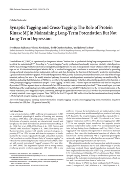 Synaptic Tagging and Cross-Tagging: the Role of Protein Kinase M␨ in Maintaining Long-Term Potentiation but Not Long-Term Depression