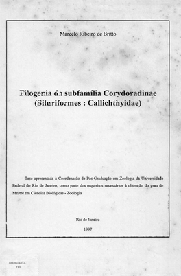 Fflogenia Ci,J Subfamília Corydoradinae