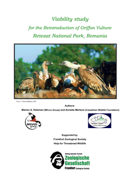 For the Reintroduction of Griffon Vulture Retezat National Park, Romania