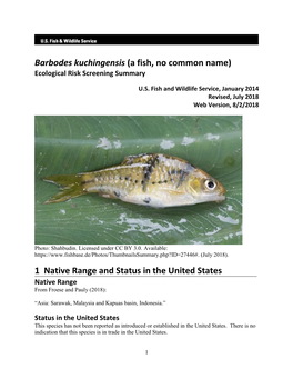 Barbodes Kuchingensis (A Fish, No Common Name) Ecological Risk Screening Summary