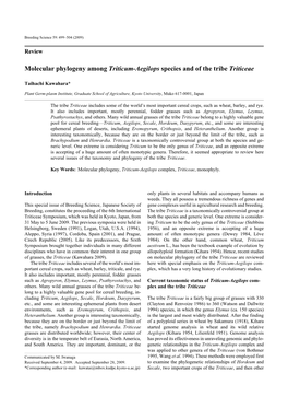 Molecular Phylogeny Among Triticum-Aegilops Species and of the Tribe Triticeae