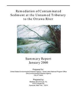 Remediation of Contaminated Sediment at the Unnamed Tributary to the Ottawa River