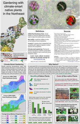 Gardening with Climate-Smart Native Plants in the Northeast