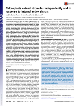 Chloroplasts Extend Stromules Independently and in Response to Internal Redox Signals