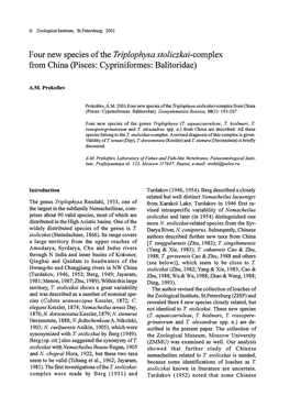 Four New Species of the Triplophysa Stoliczkai-Complex from China