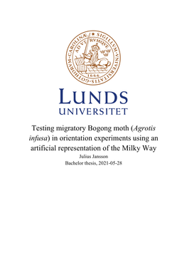 Testing Migratory Bogong Moth (Agrotis Infusa) in Orientation