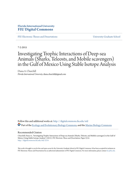 Investigating Trophic Interactions of Deep-Sea Animals (Sharks, Teleosts, and Mobile Scavengers) in the Gulf of Mexico Using Stable Isotope Analysis Diana A