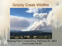 Grizzly Creek Wildfire