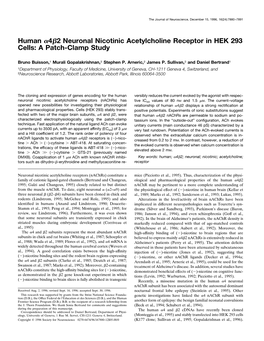 Human 4 2 Neuronal Nicotinic Acetylcholine Receptor in HEK 293