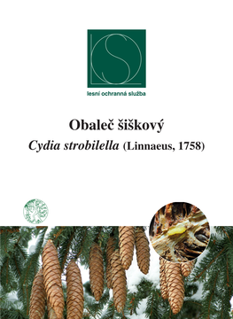 Obaleč Šiškový Cydia Strobilella (Linnaeus, 1758) PŘÍLOHA