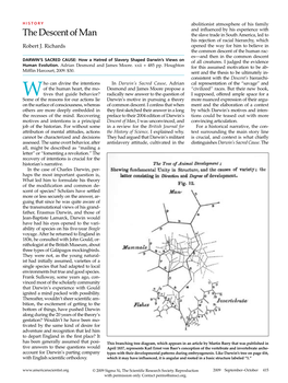 The Descent of Man the Slave Trade in South America, Led to His Rejection of Racial Hierarchy, Which Robert J