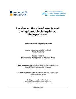 A Review on the Role of Insects and Their Gut Microbiota in Plastic Biodegradation