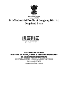 Brief Industrial Profile of Longleng District, Nagaland State