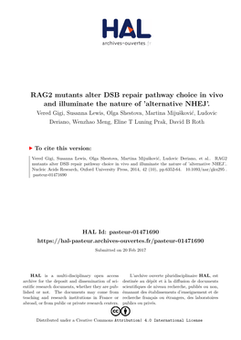 RAG2 Mutants Alter DSB Repair Pathway Choice in Vivo and Illuminate the Nature of ’Alternative NHEJ’