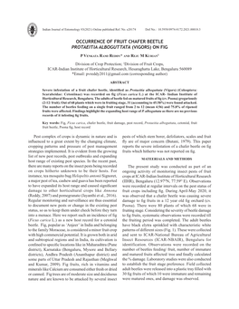 Occurrence of Fruit Chafer Beetle Protaeitia Alboguttata (Vigors) on Fig